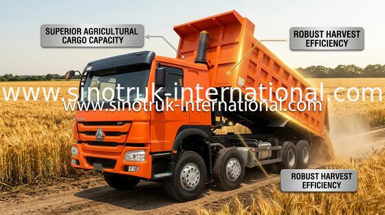 Ciężarówka wywrotka SINOTRUK HOWO 371HP 12 kół LHD 31 ton 20-30CBM ZZ3317N3567W