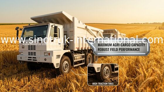 70 ton wywrotki wywrotki SINOTRUK HOWO70 Mining LHD 6X4 420HP